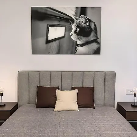 Modern With City-view Near Poiana ブラショフ