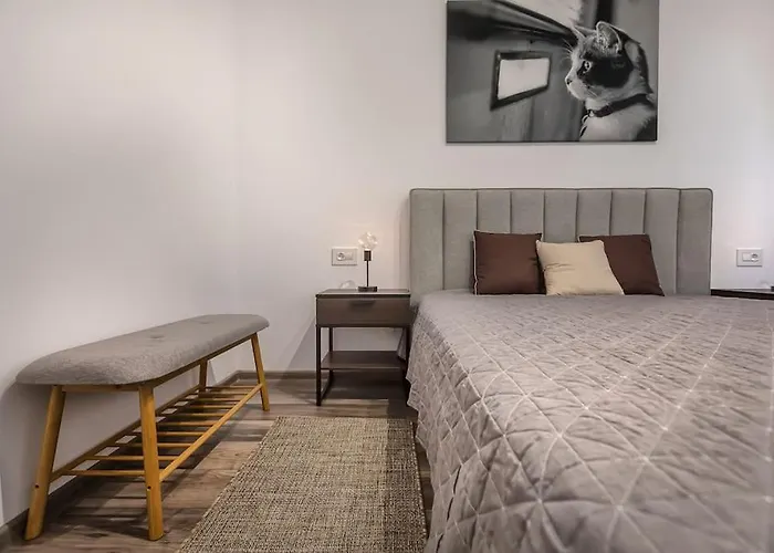 Modern With City-view Near Poiana Апартаменты Брашов