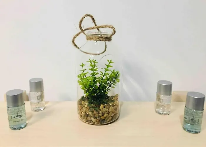 Modern With City-view Near Poiana Apartment *