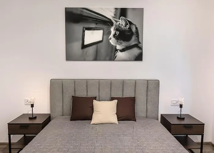 Modern With City-view Near Poiana Brasov