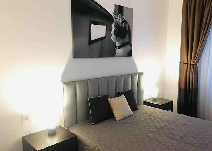 Modern With City-view Near Poiana Апартаменты Брашов